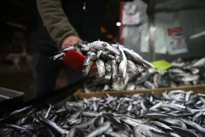 Av yasağı öncesi 'son' balıklar! Kilosu 100 TL'den satılıyor