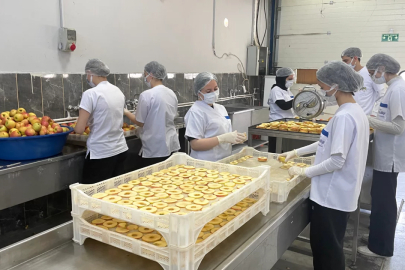 Bursa'da 135 yıllık tarım lisesinde yetiştirilen ürünler tüketiciye ulaşıyor