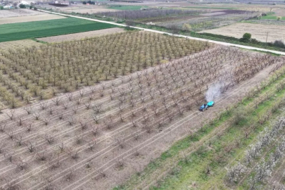 Bursa'da canlandılar! Çiftçi rahat nefes aldı, ilaçlama çalışmaları başladı
