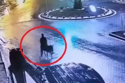 Eşekli hırsızın cezası belli oluyor: Milyonluk zarar kapıda