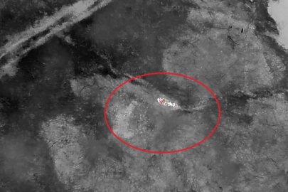 Kaybolan gebe inek, doğum yapmış halde AFAD ekiplerince bulundu