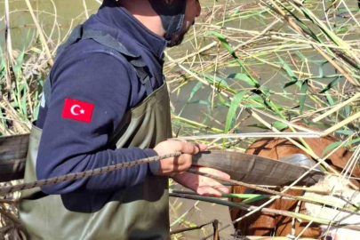 Şanlıurfa'da tahliye kanalına düşen 2 inek kurtarıldı