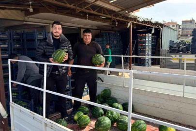 Antalya'da sezonun ilk karpuz hasadı yapıldı