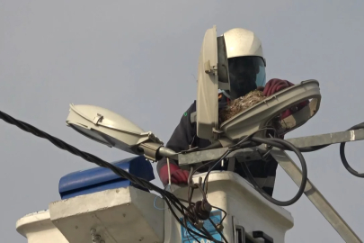 Bursa'da sokak lambasında yuva sürprizi!