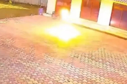 Maymunu kovalarken elektrik akımına kapıldı!