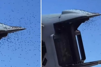 Tarihin en büyük istilası! Askeri uçuşlar bile durdu