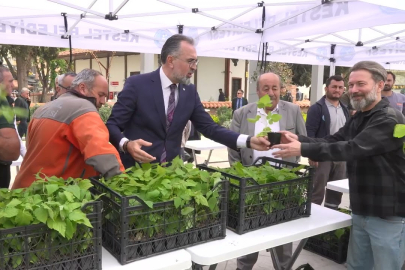 Tarım şehri Bursa Kestel’de Ahududu seferberliği