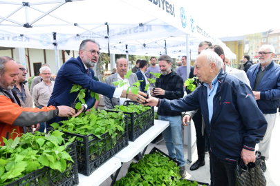 Tarım şehri Bursa Kestel’de Ahududu seferberliği