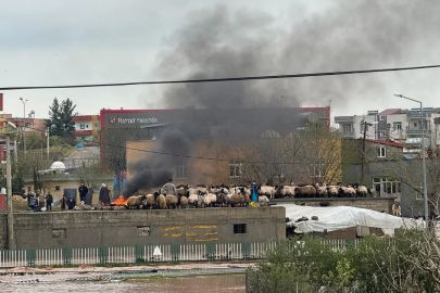 Gece yağışı sele dönüştü, ev ve iş yerlerini su bastı