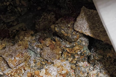 Mide bulandıran görüntüler! Ne şartlar altında üretiliyor...