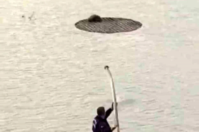 Yapay gölette mahsur kalan tilkiyi itfaiye kurtardı