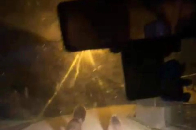 Zonguldak'ta aç kalan ayılar köye indi