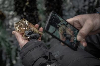 50 yıl yaşayabiliyor! Dünya peşinden koşuyor, o Marmara'da yaşam buluyor