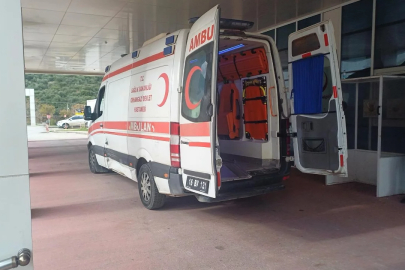 Bursa'da acı ölüm! Ecel tarlada yakaladı