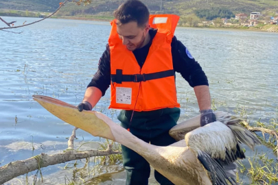 Bursa'da bitkilerin arasında mahsur kaldılar! Ekipler yetişti
