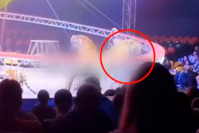 Güvenlik ağı çöktü, seyircilerinin arasına daldı...