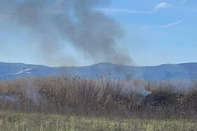 İznik Gölü kıyısında korkutan yangın! Sazlıklar alevlere teslim oldu..