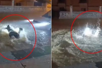 Mardin'de sağanakta göle dönen sokakta böyle yüzdü