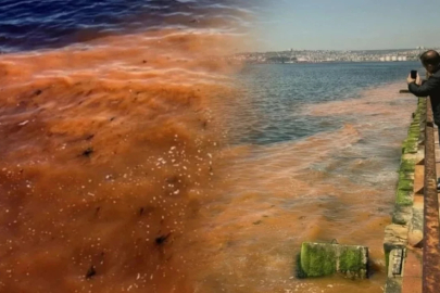Marmara Denizi bir anda turuncuya boyandı! Korkutan manzara sonrası uzmanlar konuştu