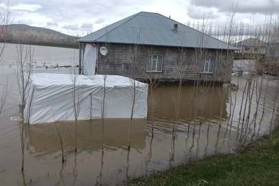 Ağrı'da sağanak yağış sonucu dereler taştı