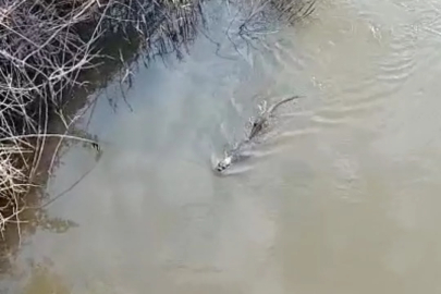 Bursa'da şaşırtan görüntü! Bir anda gözden kayboldu