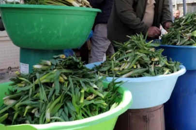 Dağlar ve yaylalarda doğal olarak yetişiyor! Şifalı otların kilosu 100 TL'den satılıyor