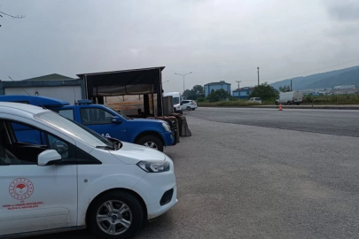 Kurbanlık sevkiyatına sıkı denetim! Tarım müdürlüğü ekipleri sahada...