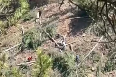 Maden sahası krizi sürüyor! Ağaçlar kesildi...