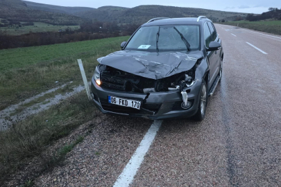 Ankara'da aracın çarptığı geyik telef oldu