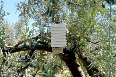 Bursa'da çiftçilerin kabusu için uyarı geldi!