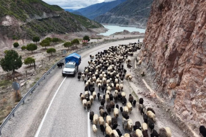 Yayla yolunda zorlu göçler başladı!