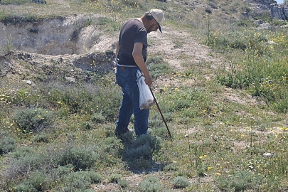 Beypazarı'nda etkili olan yağışların ardından mantar sezonu başladı