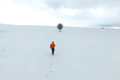 Bingöl'ün kuzeyinde kış, güneyinde bahar yaşanıyor