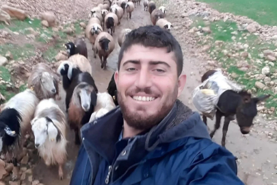 Mardin'de çobanın öldürüldüğü silahlı saldırıya ilişkin 5 tutuklama