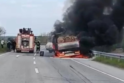 Seyir halindeki tomruk yüklü kamyon alevlere teslim oldu
