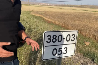 Basit ve önemsiz duran bu tabela hayat kurtarabilir: İşte bu ifadelerin anlamı...