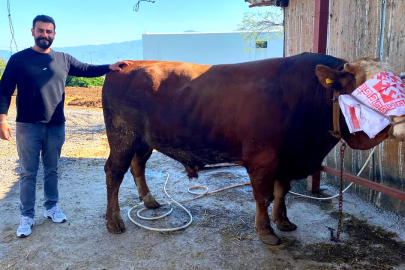 Bursa'da 'paşa' rekor fiyata satıldı!