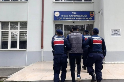 Çankırı'da büyükbaş hayvan çalan şahıslar tutuklandı