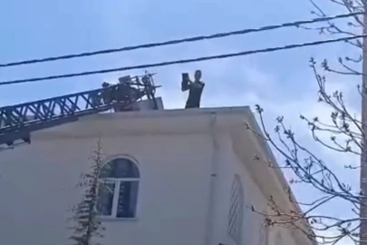 Mahsur kalan kedi kurtarıldı