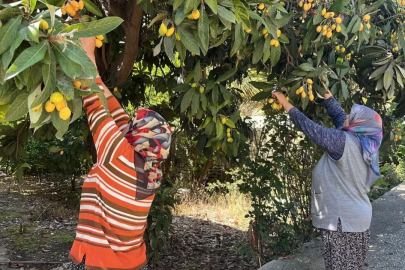 Bedava dağıttı, gelen poşet poşet topladı!