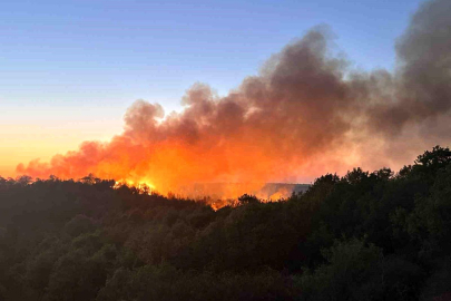Beykoz'da 3 hektarlık alan küle döndü: Yangına müdahale devam ediyor