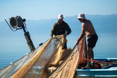 Bursa'da gümüş balığı bereketi! Balıkçılar yeni sezondan umutlu...