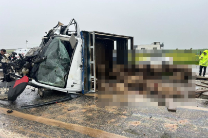 Siirt'te koyun yüklü kamyonet ile otomobil çarpıştı: 2 ölü, 3 yaralı