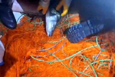 Elazığ'da kaçak avcılara ait 300 metrelik ağ ele geçirildi