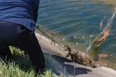 Karaca sulama kanalına düştü, çiftçiler tarafından kurtarıldı