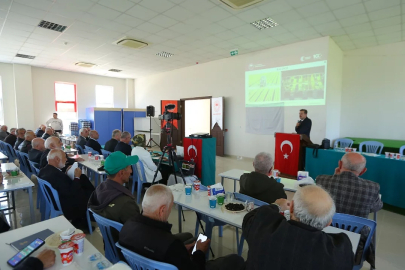 Orhangazi'de zeytin üreticilerine bitki koruma eğitimi verildi