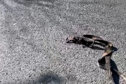 Türkiye'den Bulgaristan'a dönüş yolunda dikkat çeken uyarı: Tuzak mı, dikkatsizlik mi?