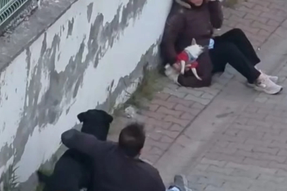 Ağızlıksız gezdirilen rottweiler, küçük ırk köpeğe saldırdı!