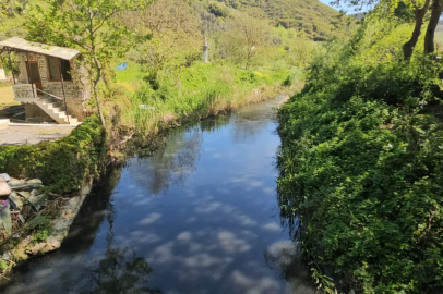 Bursa'da alarm veren görüntüler! 'Resmen doğa katliamı'