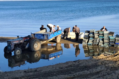 Bursa'da sezon bereketli! Yurtdışına gönderiliyor